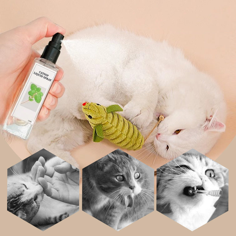 Katzenminze Flüssigspray - Sicher, rein und wirkungsvoll