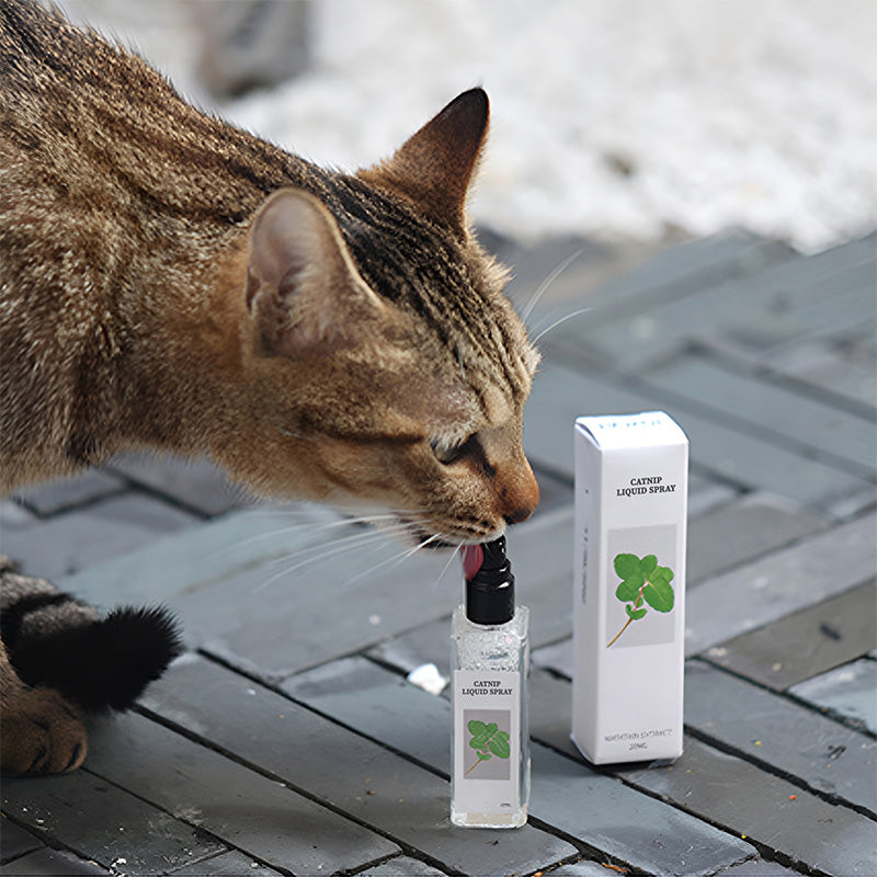 Katzenminze Flüssigspray - Sicher, rein und wirkungsvoll
