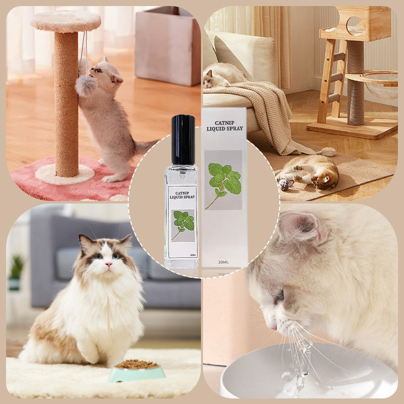 Katzenminze Flüssigspray - Sicher, rein und wirkungsvoll